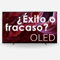 Lee más sobre el artículo Televisores OLED: ¿éxito o fracaso?